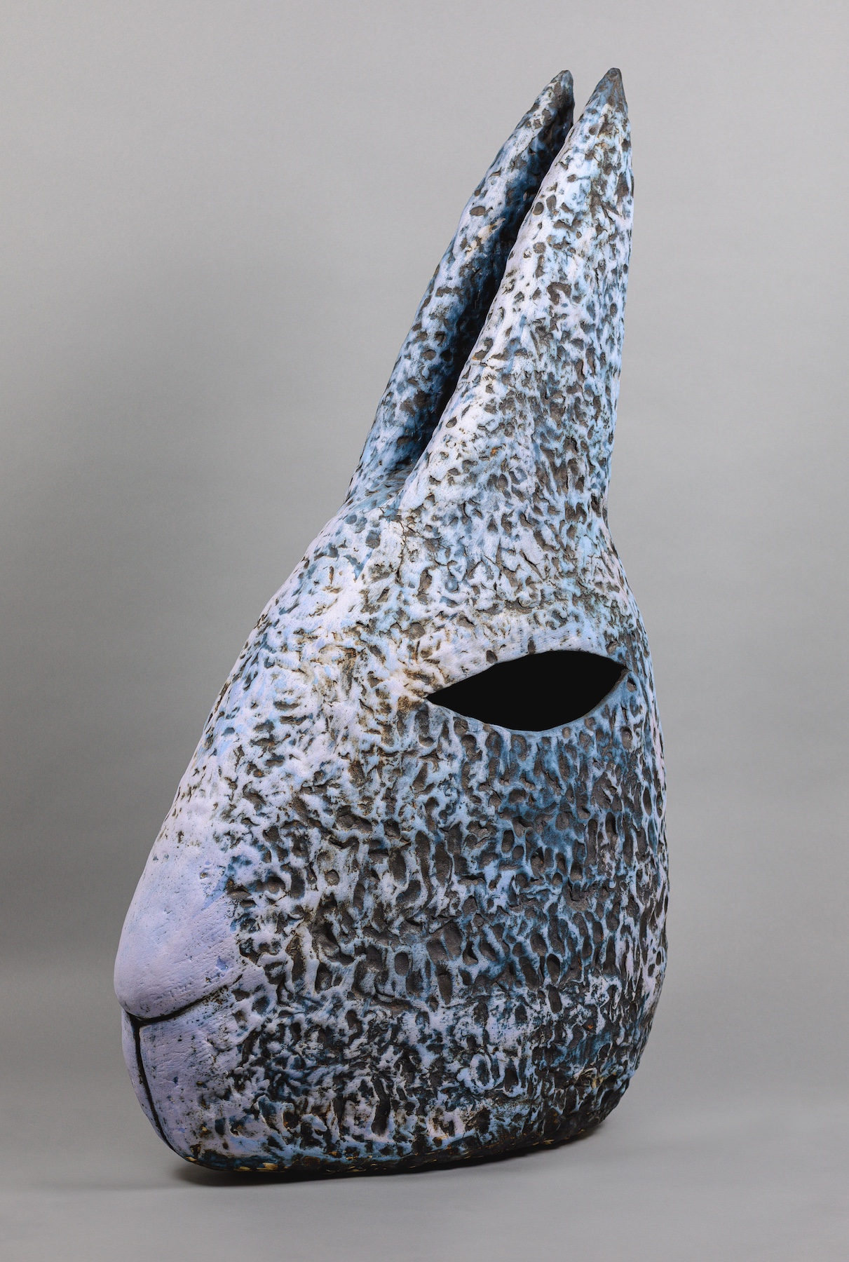 Masouka Rabbit Head (p) Photo Jarvis Lawson (edit)