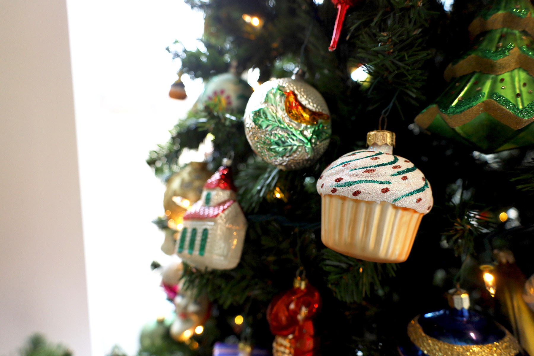 Festive Forest 2025 Photo Rachel Comande 06 Festive Forest 2025 Photo Rachel Comande 06