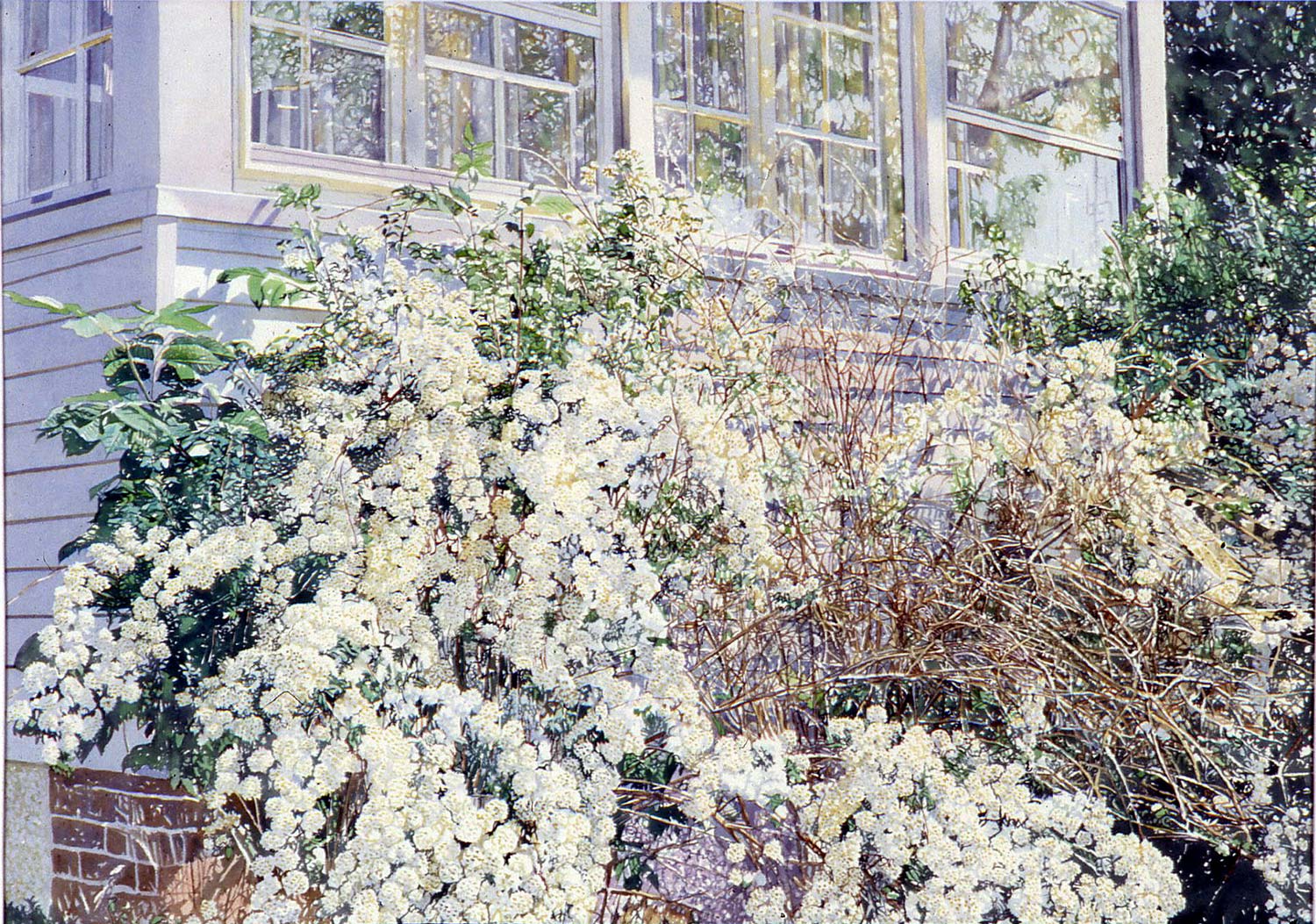 Joel Jaecks “Morning Light”