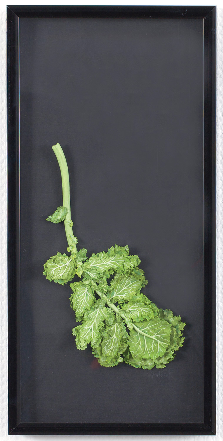 Lance Raichert, Curly Kale