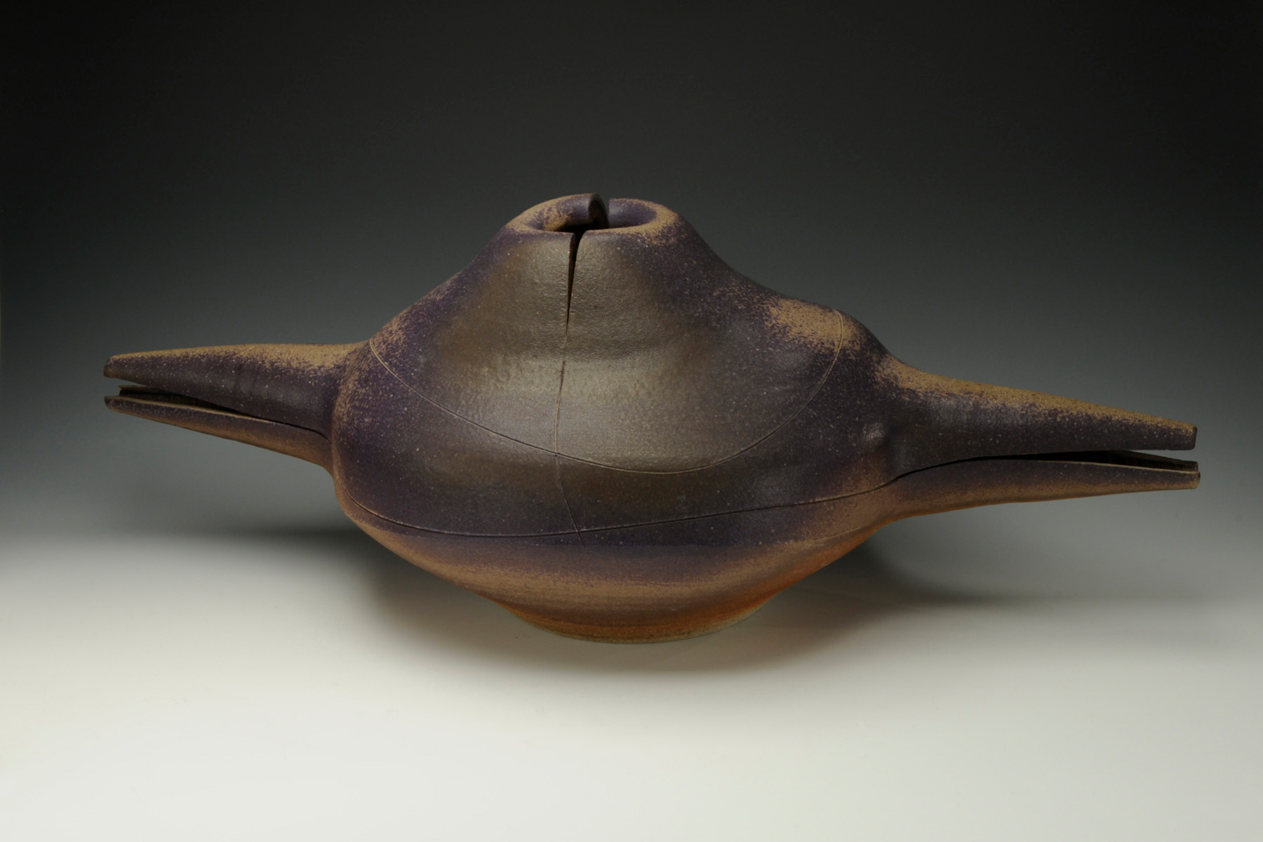 Karen Karnes, Winged Vessel