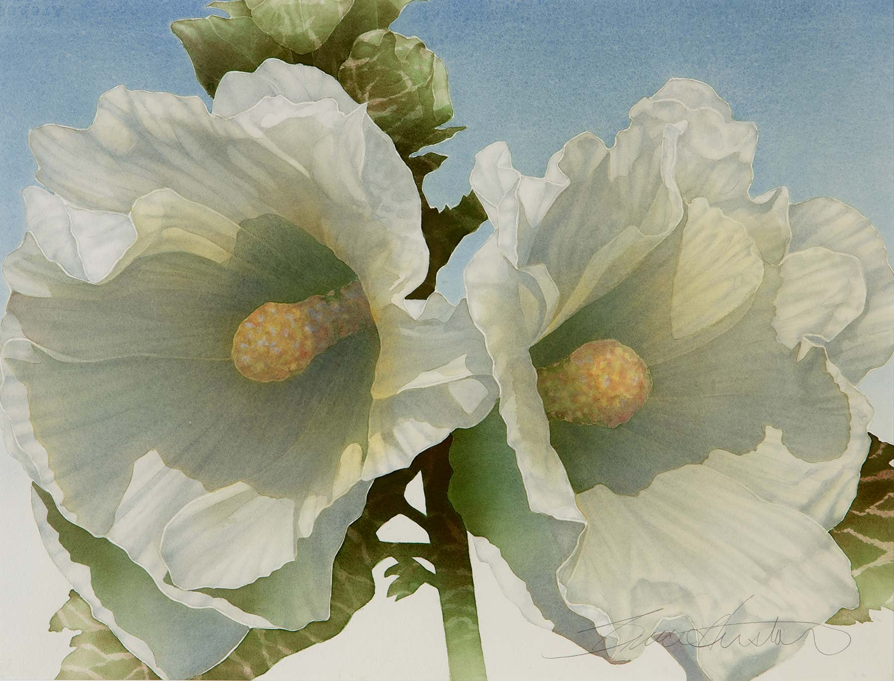 Bruce Hustad, Classic Hollyhock
