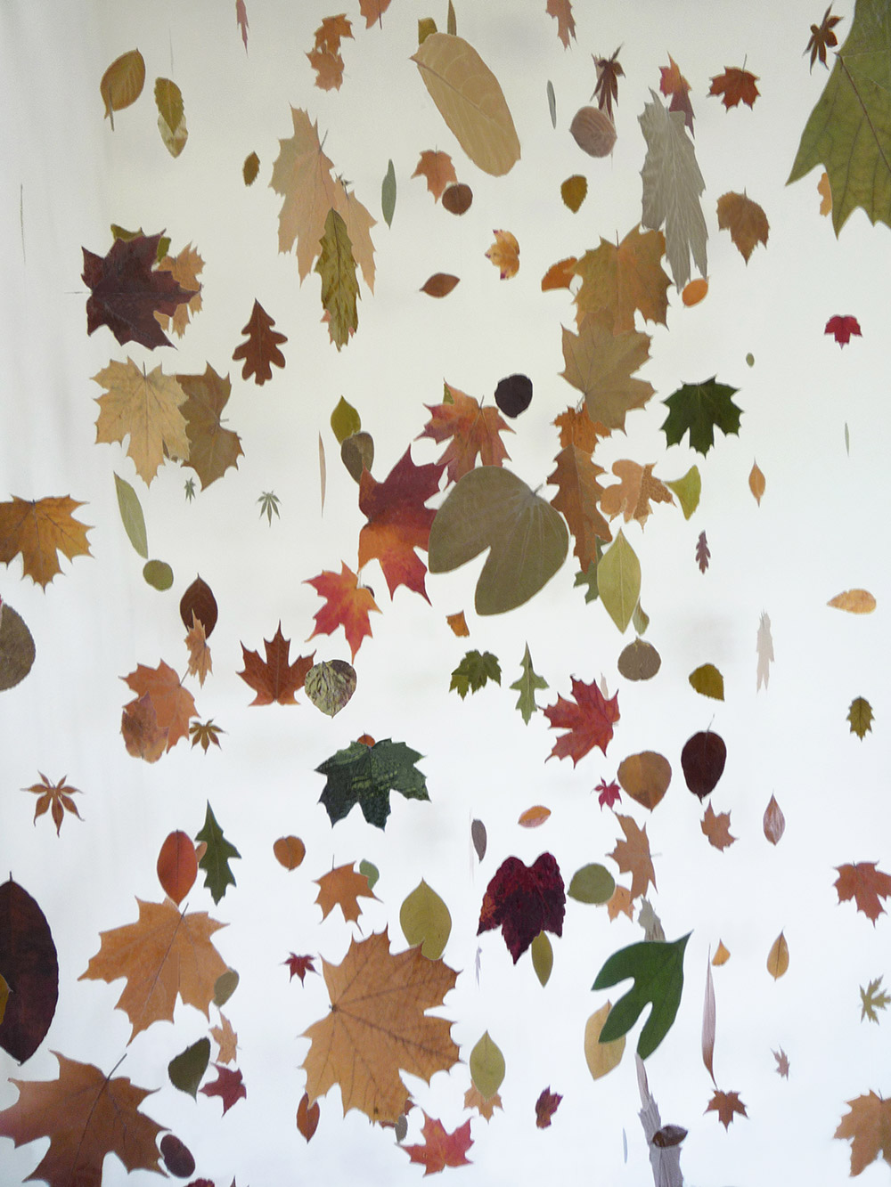 Joan Backes “Falling Leaves and Painted Branches” (detail)