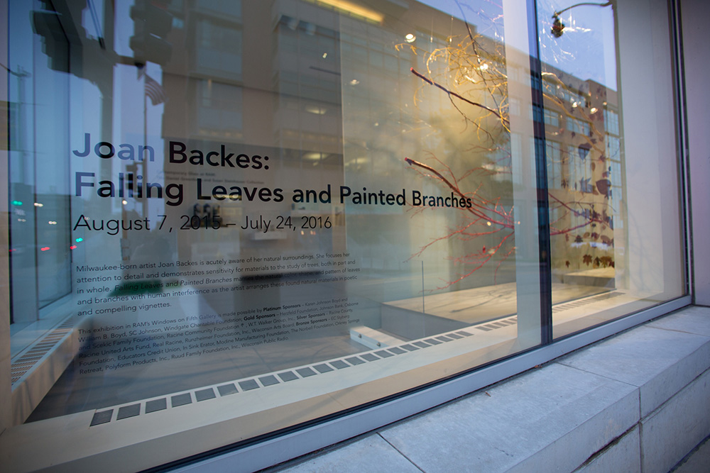 Falling Leaves and Painted Branches installation, photographed by Jon Bolton