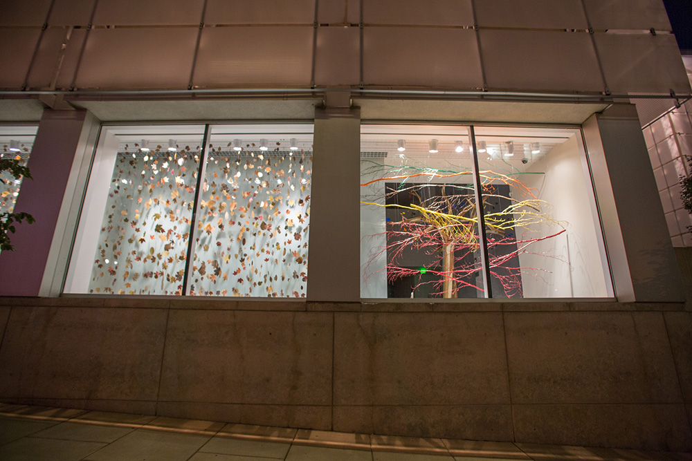 Falling Leaves and Painted Branches installation, photographed by Jon Bolton