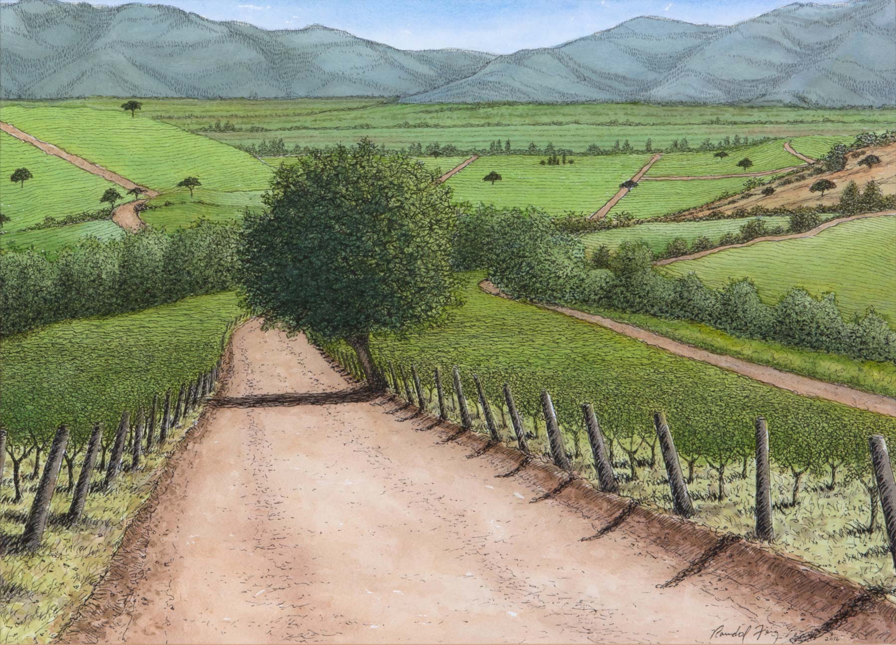 Randal Feig, Vineyard, Casablanca, Chile