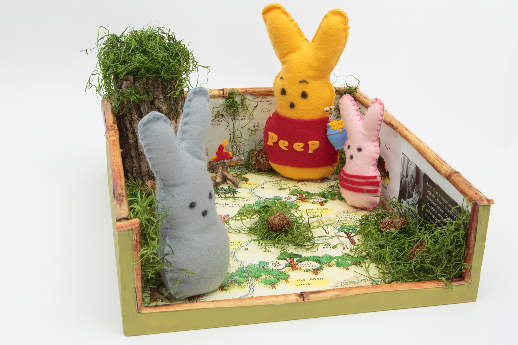 Holly Skubal and Mike Skubal “Winnie the Peep and the 100 Aker Wood”