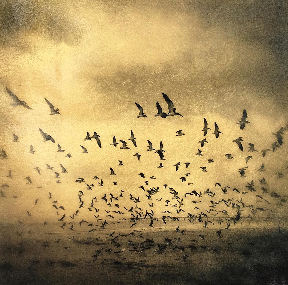 Vicki Reed “Leaving #2”