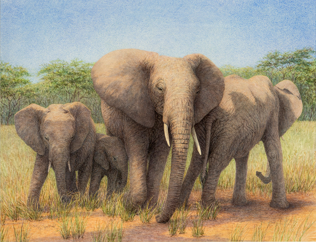 Cary Hunkel, Family Circle