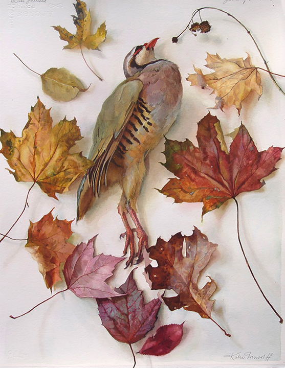 Katie Musolff, Chukar Amongst the Leaves