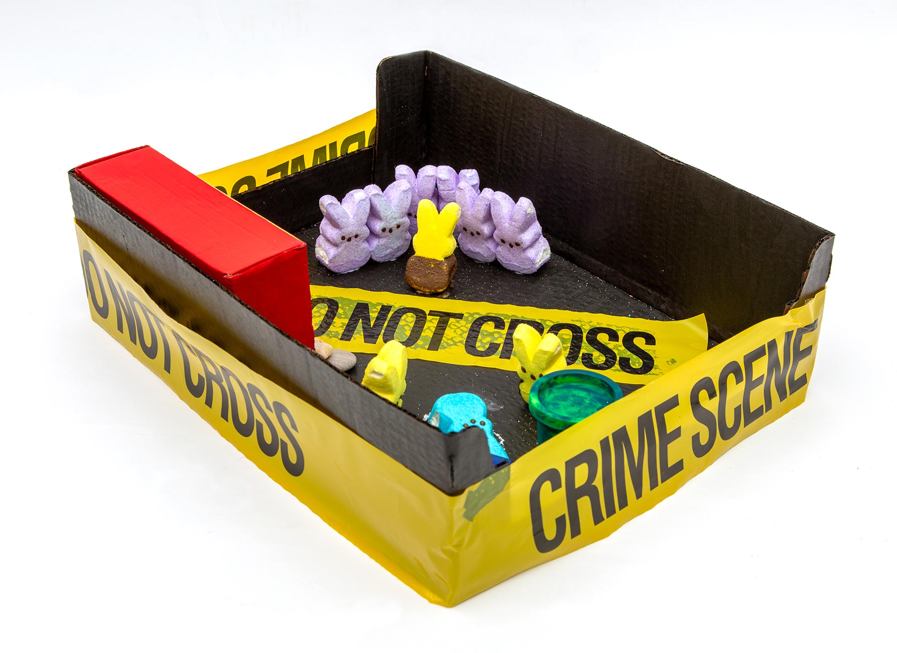 Jami Van Brocklin, Crime Scene Investigation