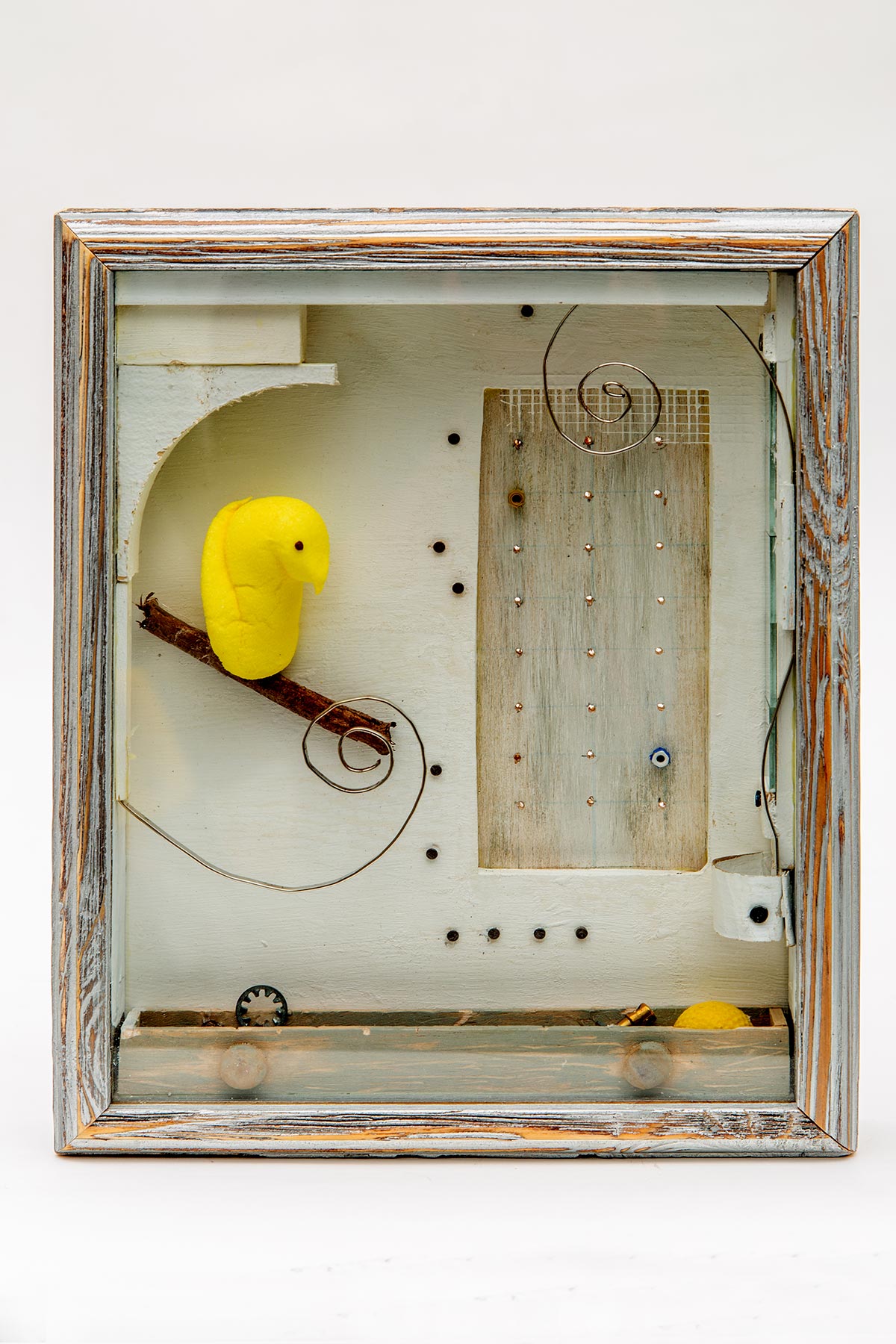 Laura and Steve Grayson, Lost and Found à la Joseph Cornell