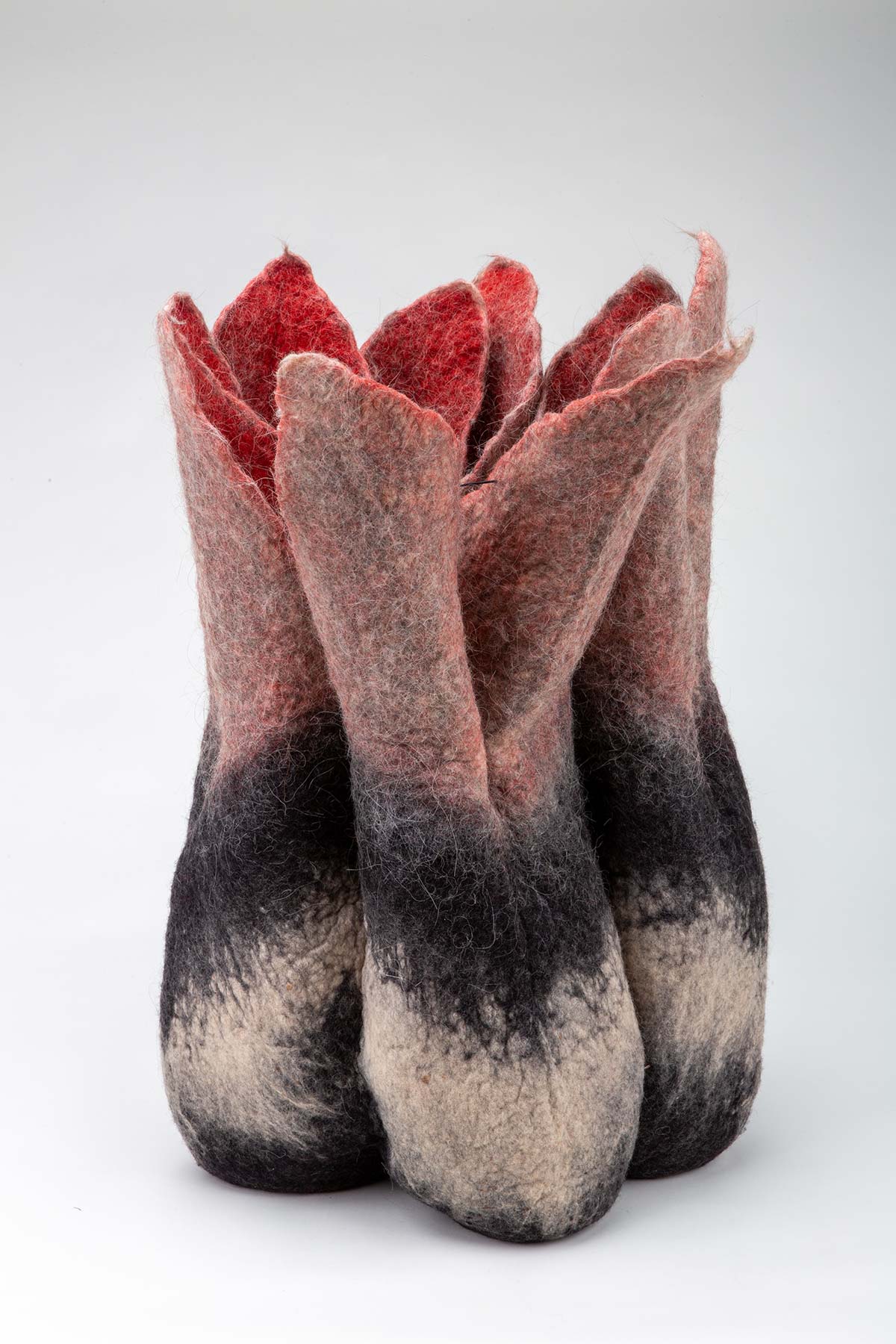 Anat Gelbard and Gil Leitersdorf, Untitled