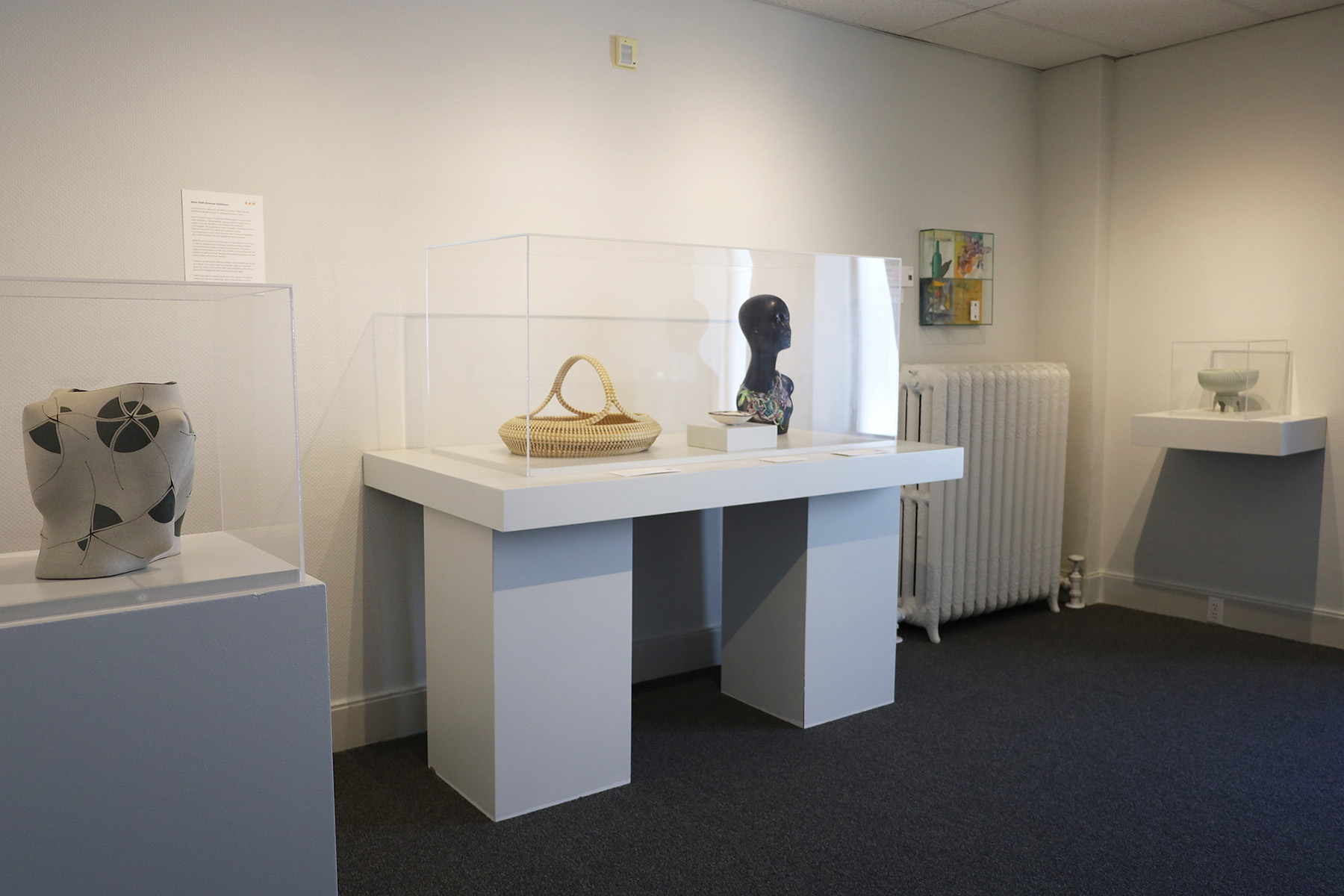 Installation view, RAM Showcase: Objects