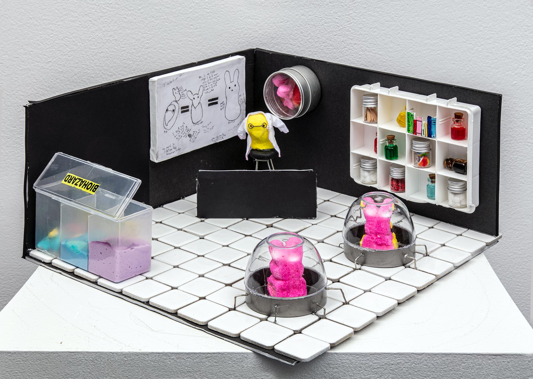 Ezekiel Niles, The Mad Scien-PEEP’s Laboratory