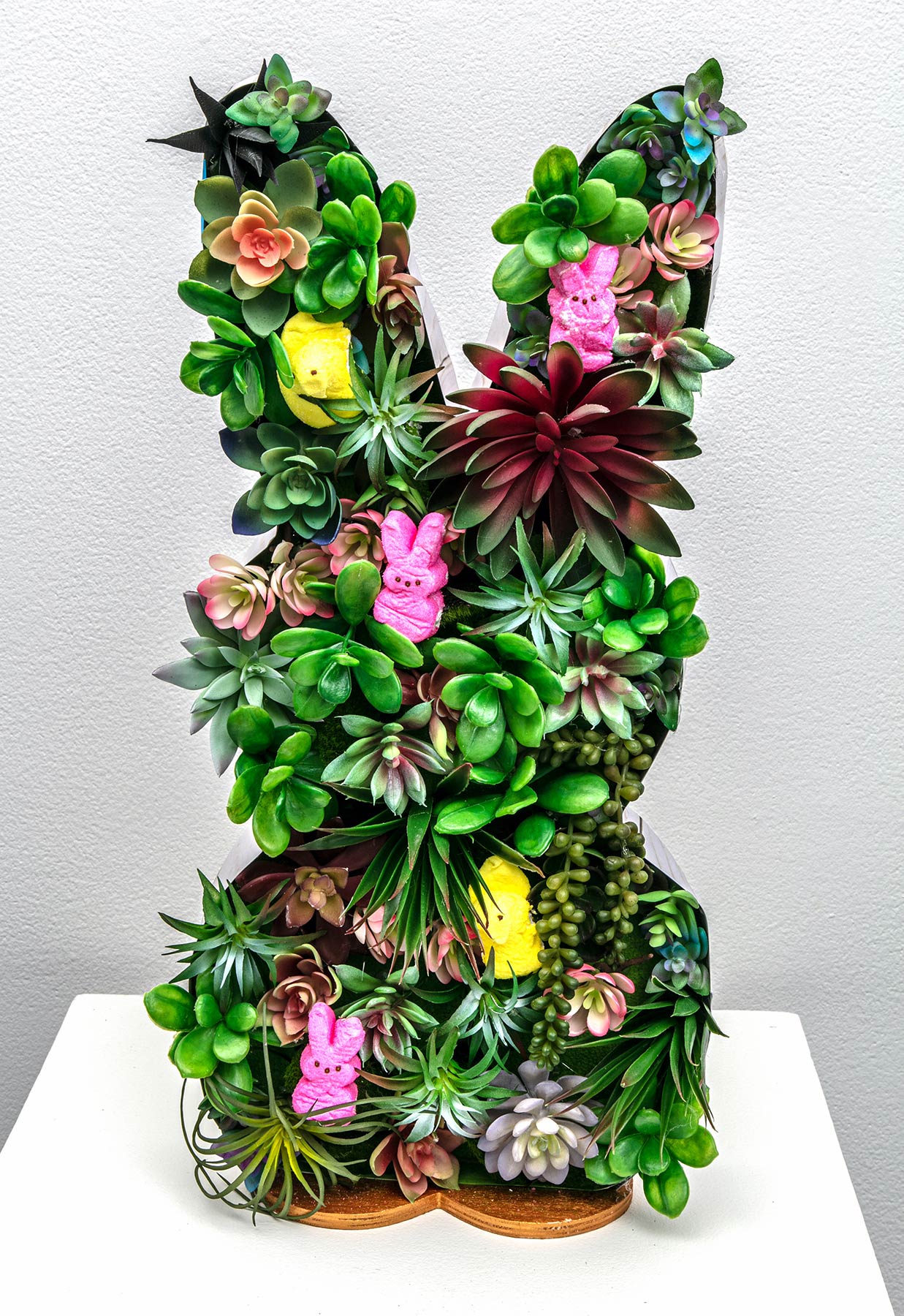 Kristina Tsioutsiopoulos, Peeps are Succulent! Tsioutsiopoulus Succulent