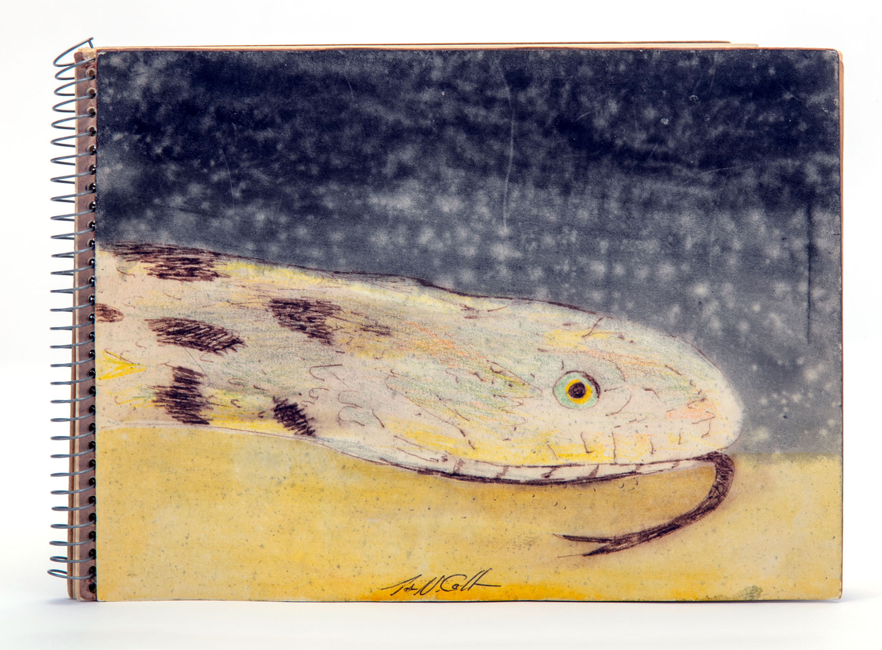 John N. Colt, Sketchbook