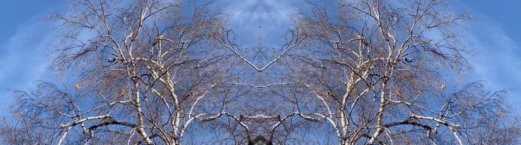 Jojin Van Winkle, karuna meditations 2