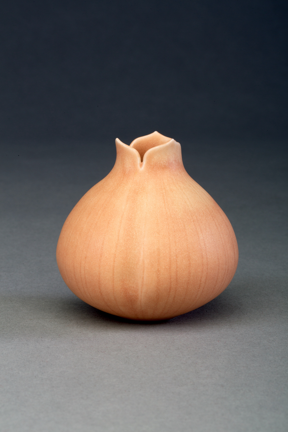 Sandra Byers, Salmon Three-Lobed Pod
