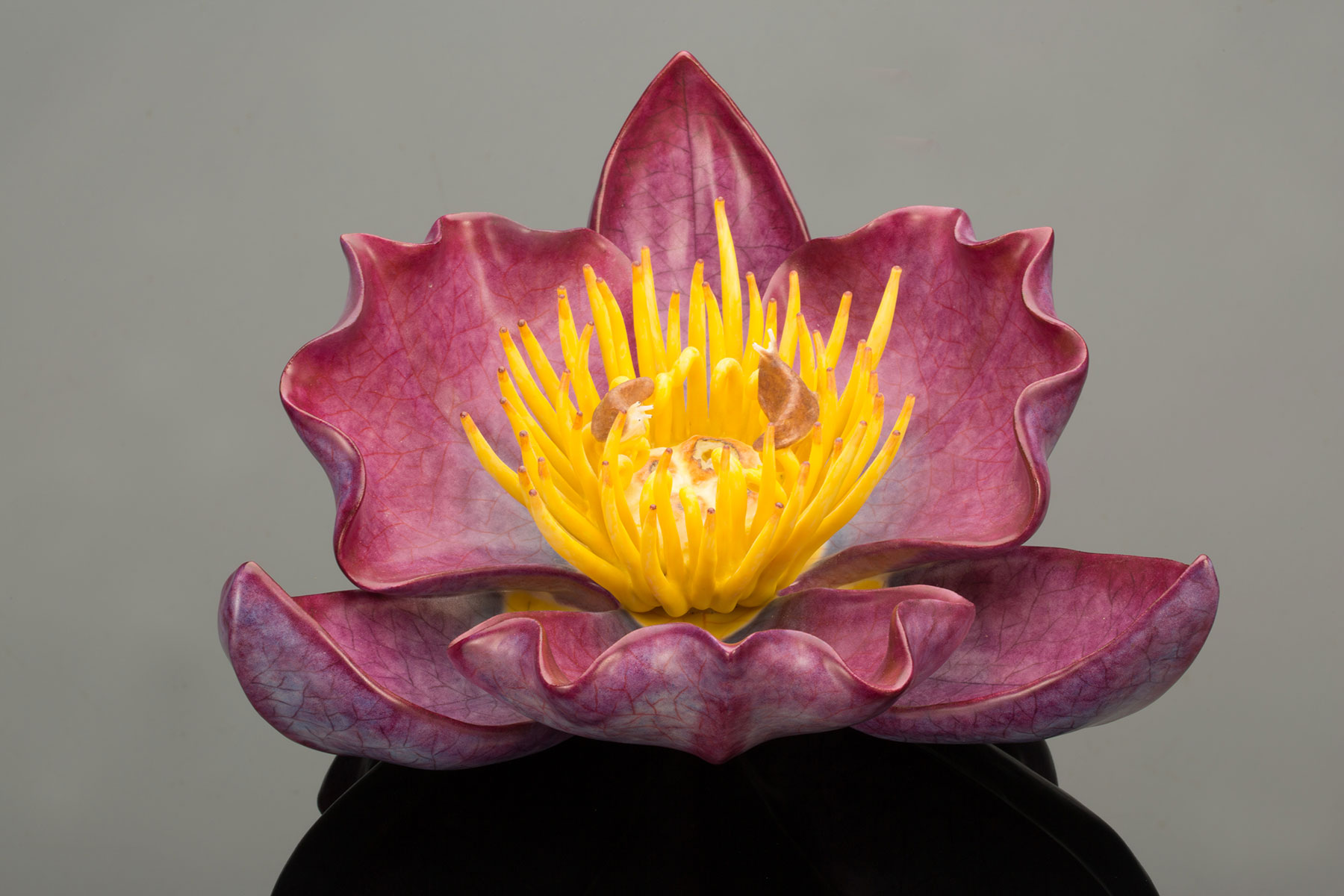 Keisuke Mizuno, Purple Flower