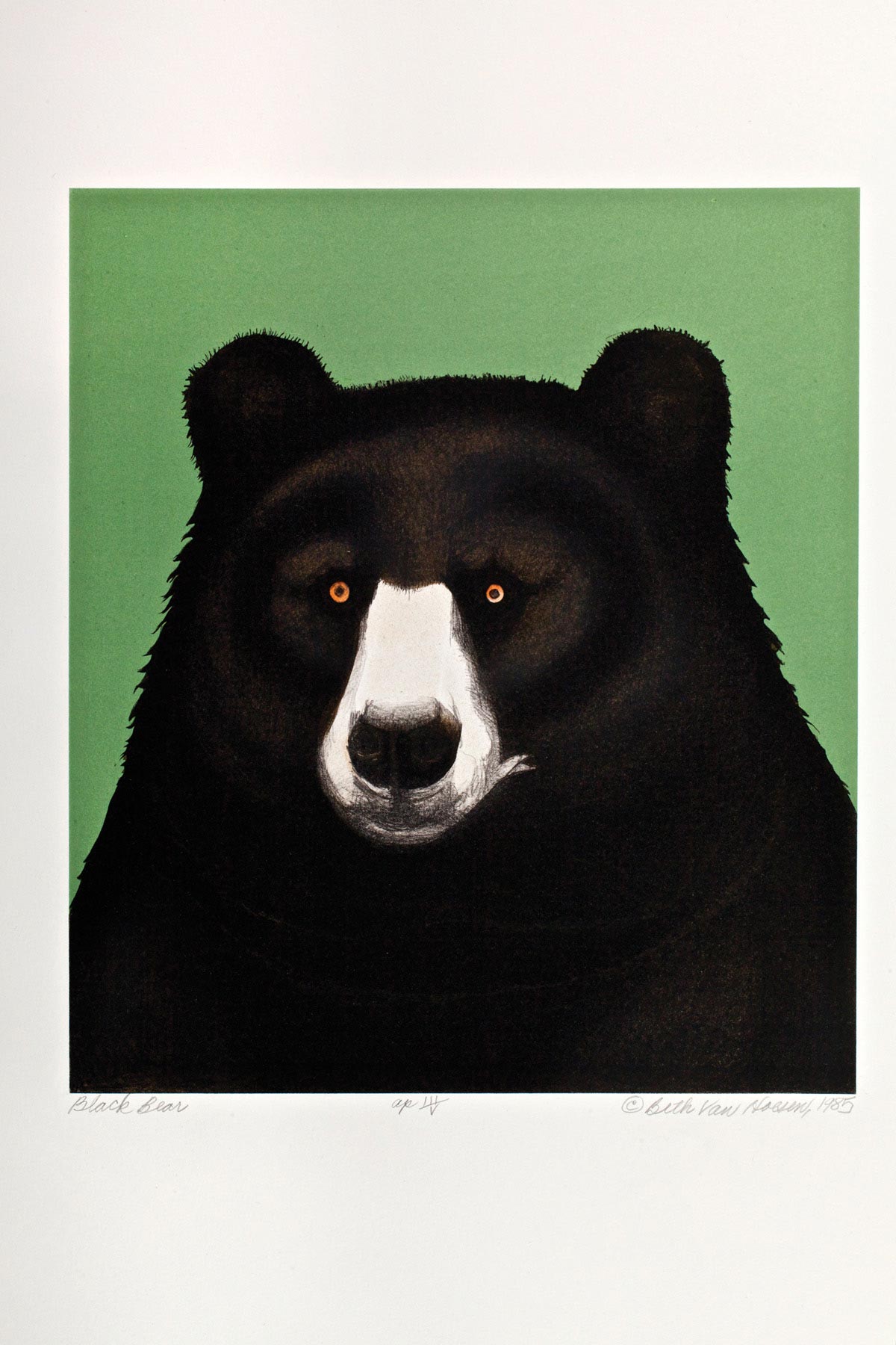 Beth Van Hoesen, Black Bear