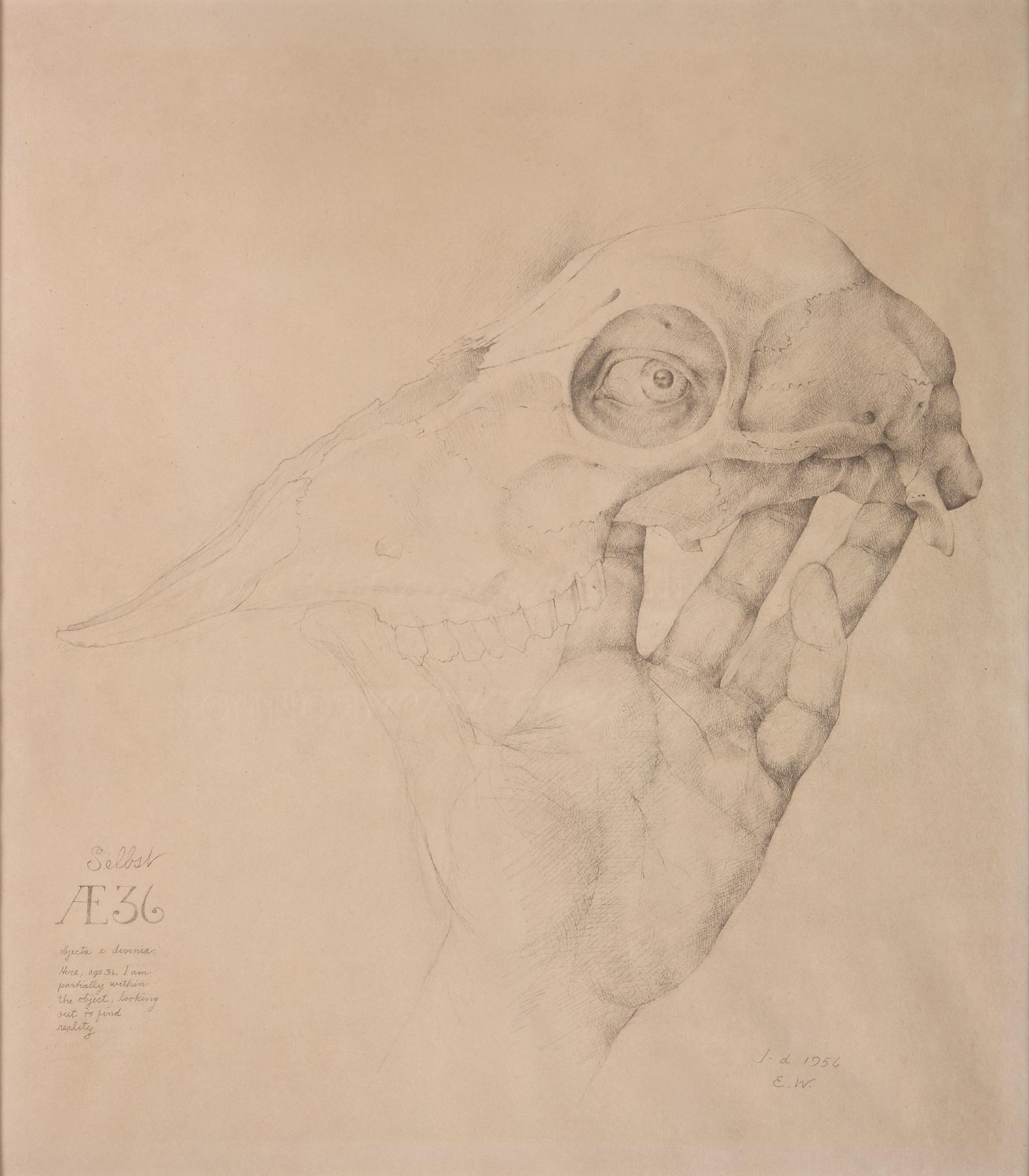 John Wilde, Selbst AE36 (Myself Age 36)